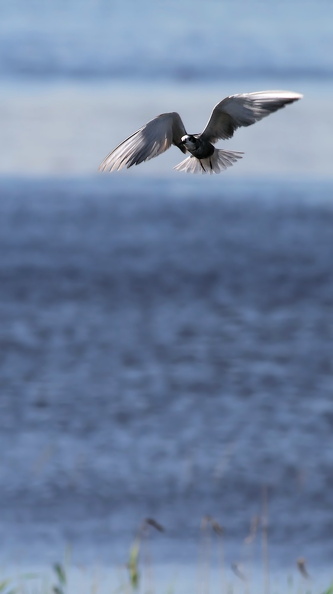 JPK_IMG_117025.web.jpg