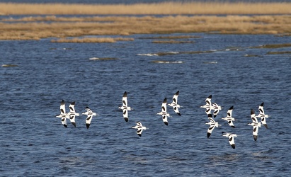 Klyder, Bygholm Vejle
