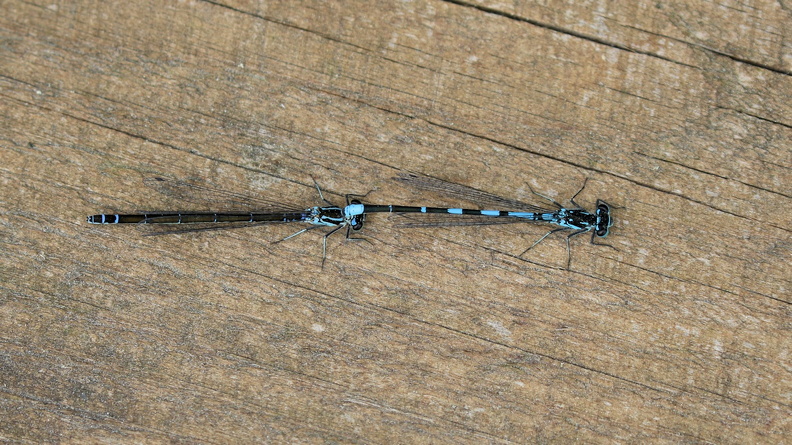 JPK #3_001803.web.jpg