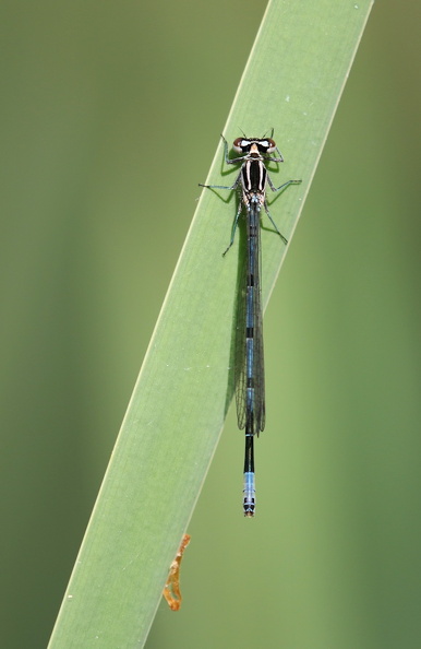 JPK #3_001672.web.jpg