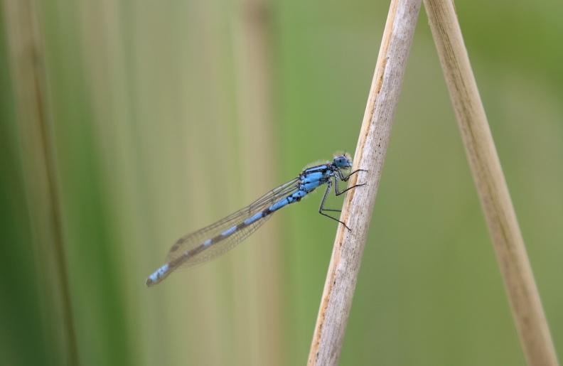 JPK #3_001931.web.jpg