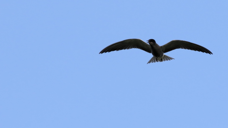 JPK #3_036502.web.jpg