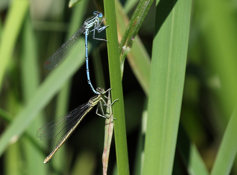 JPK #3_038182.web.jpg