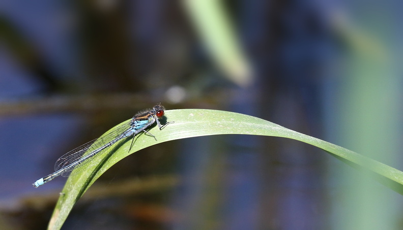 JPK #3_038158.web.jpg