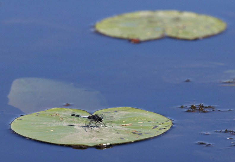 JPK #3_038112.web.jpg