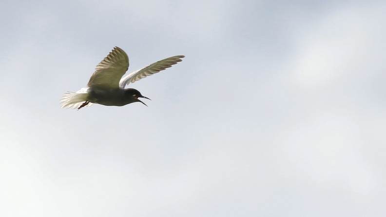 JPK #3_037359.web.jpg