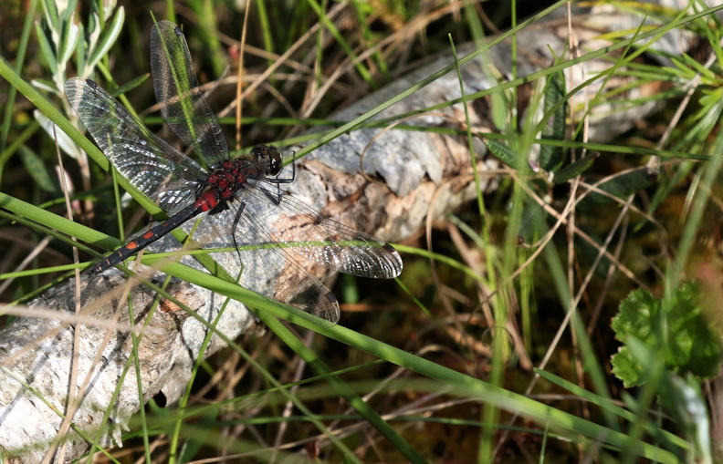 JPK #3_038328.web.jpg