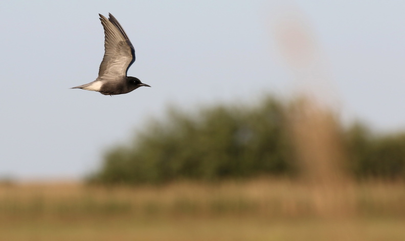 JPK #3_038825.web.jpg