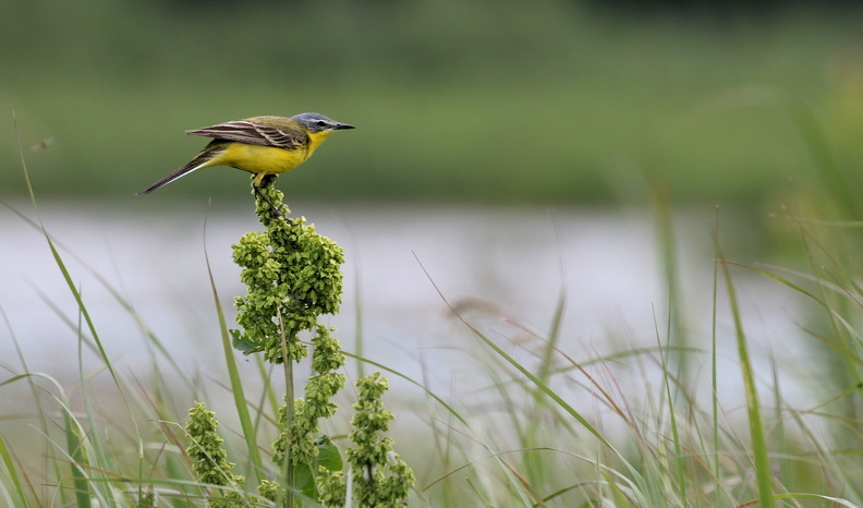 JPK #3_038724.web.jpg