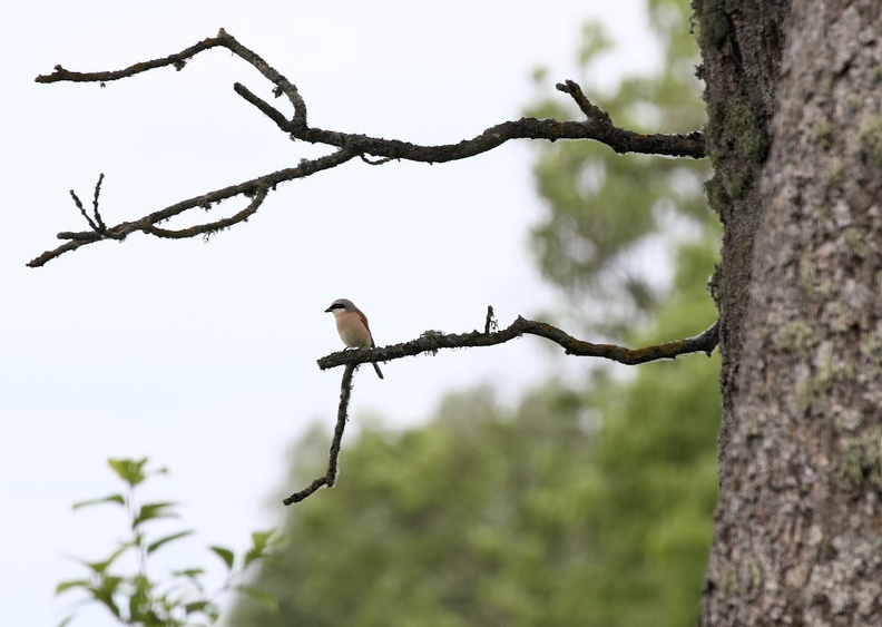 JPK #3_038672.web.jpg