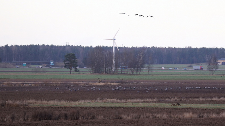 JPK_EOS R_024019.web.jpg