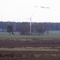 Del af en stor flok Traner
