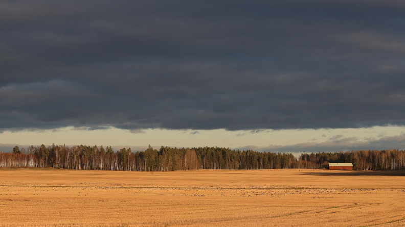 JPK_EOS R_024366.web.jpg