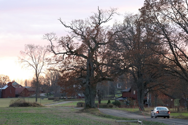 JPK_EOS R_024863.web.jpg