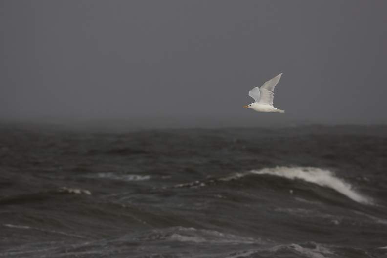 JPK_EOS R_021052_web.jpg