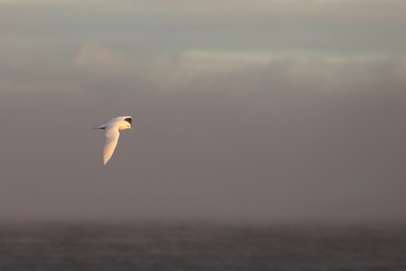 JPK_EOS R_022028.web.jpg