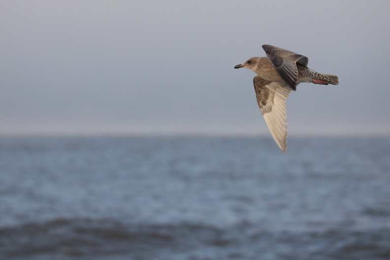 JPK_EOS R_022552.web.jpg