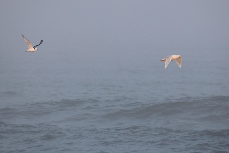 JPK_EOS R_021591.web.jpg