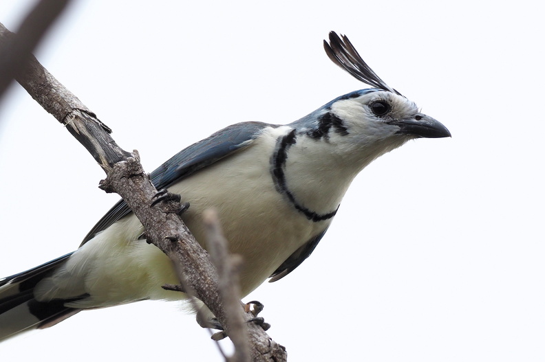 JPK_OM-D_09022018_0639.web.jpg